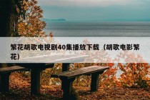 繁花胡歌电视剧40集播放下载（胡歌电影繁花）