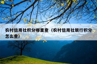 农村信用社积分哪里查（农村信用社银行积分怎么查）