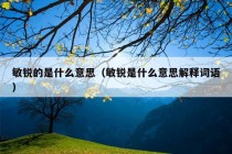 敏锐的是什么意思（敏锐是什么意思解释词语）