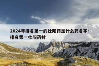 2024年排名第一的壮阳药是什么药名字:排名第一壮阳药材