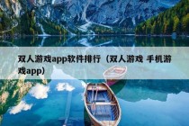 双人游戏app软件排行（双人游戏 手机游戏app）