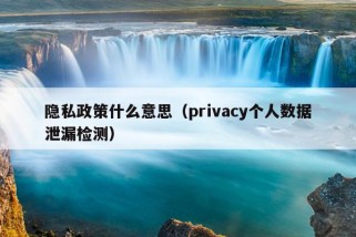 隐私政策什么意思（privacy个人数据泄漏检测）