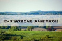 双人成行英文名怎么说（双人成行的英文名）