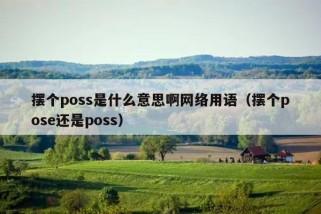 摆个poss是什么意思啊网络用语（摆个pose还是poss）