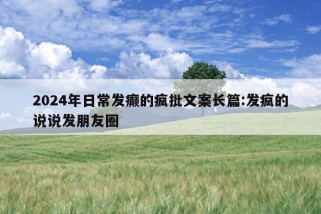 2024年日常发癫的疯批文案长篇:发疯的说说发朋友圈