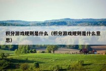 积分游戏规则是什么（积分游戏规则是什么意思）