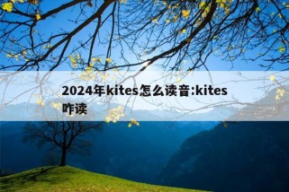 2024年kites怎么读音:kites咋读