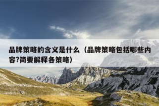 品牌策略的含义是什么（品牌策略包括哪些内容?简要解释各策略）