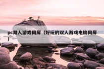 pc双人游戏同屏（好玩的双人游戏电脑同屏）