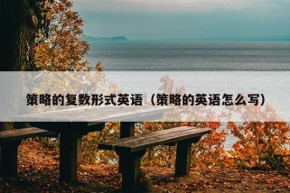 策略的复数形式英语（策略的英语怎么写）