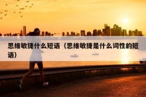 思维敏捷什么短语（思维敏捷是什么词性的短语）