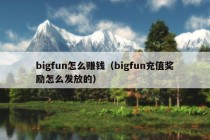 bigfun怎么赚钱（bigfun充值奖励怎么发放的）