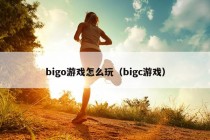 bigo游戏怎么玩（bigc游戏）