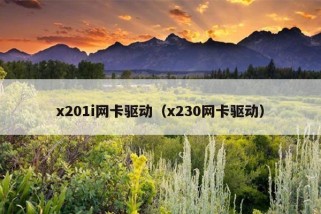 x201i网卡驱动（x230网卡驱动）