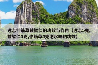 远志伸筋草益智仁的功效与作用（远志5克,益智仁5克,伸筋草5克泡水喝的功效）