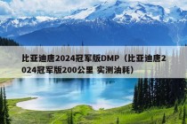 比亚迪唐2024冠军版DMP（比亚迪唐2024冠军版200公里 实测油耗）