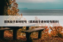 搞笑段子素材短句（搞笑段子素材短句摘抄）