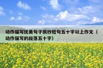 动作描写优美句子摘抄短句五十字以上作文（动作描写的段落五十字）