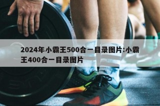 2024年小霸王500合一目录图片:小霸王400合一目录图片