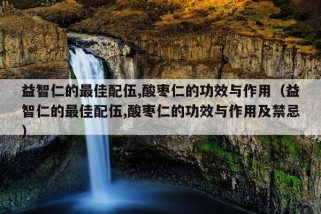 益智仁的最佳配伍,酸枣仁的功效与作用（益智仁的最佳配伍,酸枣仁的功效与作用及禁忌）