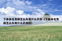 下身体毛发痒怎么办用什么药膏（下身体毛发痒怎么办用什么药膏好）