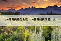 pe体育英语怎么读（pe体育的英文是什么）