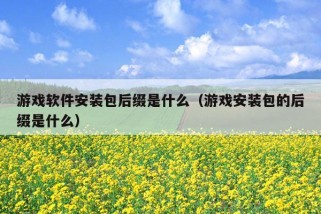 游戏软件安装包后缀是什么（游戏安装包的后缀是什么）