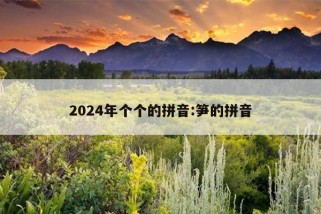 2024年个个的拼音:笋的拼音