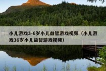 小儿游戏3-6岁小儿益智游戏视频（小儿游戏36岁小儿益智游戏视频）