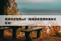 敏捷项目管理pdf（敏捷项目管理和瀑布式区别）