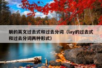 躺的英文过去式和过去分词（lay的过去式和过去分词两种形式）