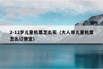 2-12岁儿童机票怎么买（大人带儿童机票怎么订便宜）