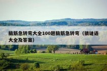 脑筋急转弯大全100题脑筋急转弯（猜谜语大全及答案）