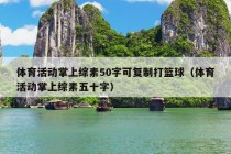 体育活动掌上综素50字可复制打篮球（体育活动掌上综素五十字）