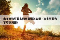 太多修饰可数名词用英语怎么说（太多可数和不可数英语）