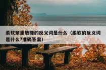 柔软笨重敏捷的反义词是什么（柔软的反义词是什么?准确答案）