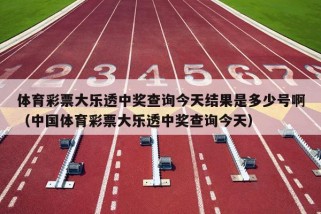 体育彩票大乐透中奖查询今天结果是多少号啊（中国体育彩票大乐透中奖查询今天）