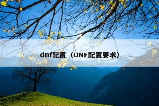 dnf配置（DNF配置要求）