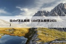 玩dnf怎么搬砖（dnf怎么搬砖2021）