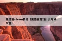 黑悟空steam价格（黑悟空游戏什么时候发售）