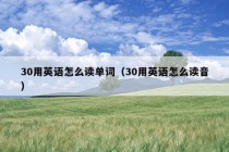 30用英语怎么读单词（30用英语怎么读音）