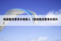 敏捷集团董事长哪里人（敏捷集团董事长照片）