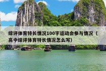 综评体育特长情况100字运动会参与情况（高中综评体育特长情况怎么写）