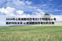 2024年心肌细胞动作电位5个时期与心电图的对应关系:心肌细胞动作电位的分期