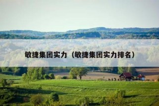 敏捷集团实力（敏捷集团实力排名）