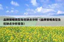 品牌策略类型及优缺点分析（品牌策略类型及优缺点分析报告）