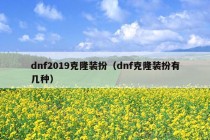 dnf2019克隆装扮（dnf克隆装扮有几种）