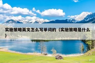 实施策略英文怎么写单词的（实施策略是什么）