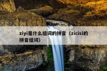 ziyi是什么组词的拼音（zicisi的拼音组词）