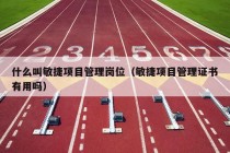 什么叫敏捷项目管理岗位（敏捷项目管理证书有用吗）